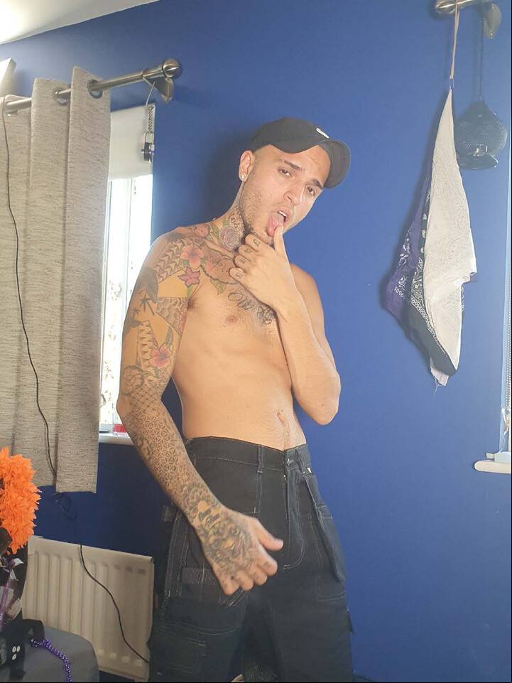 Leo Rex