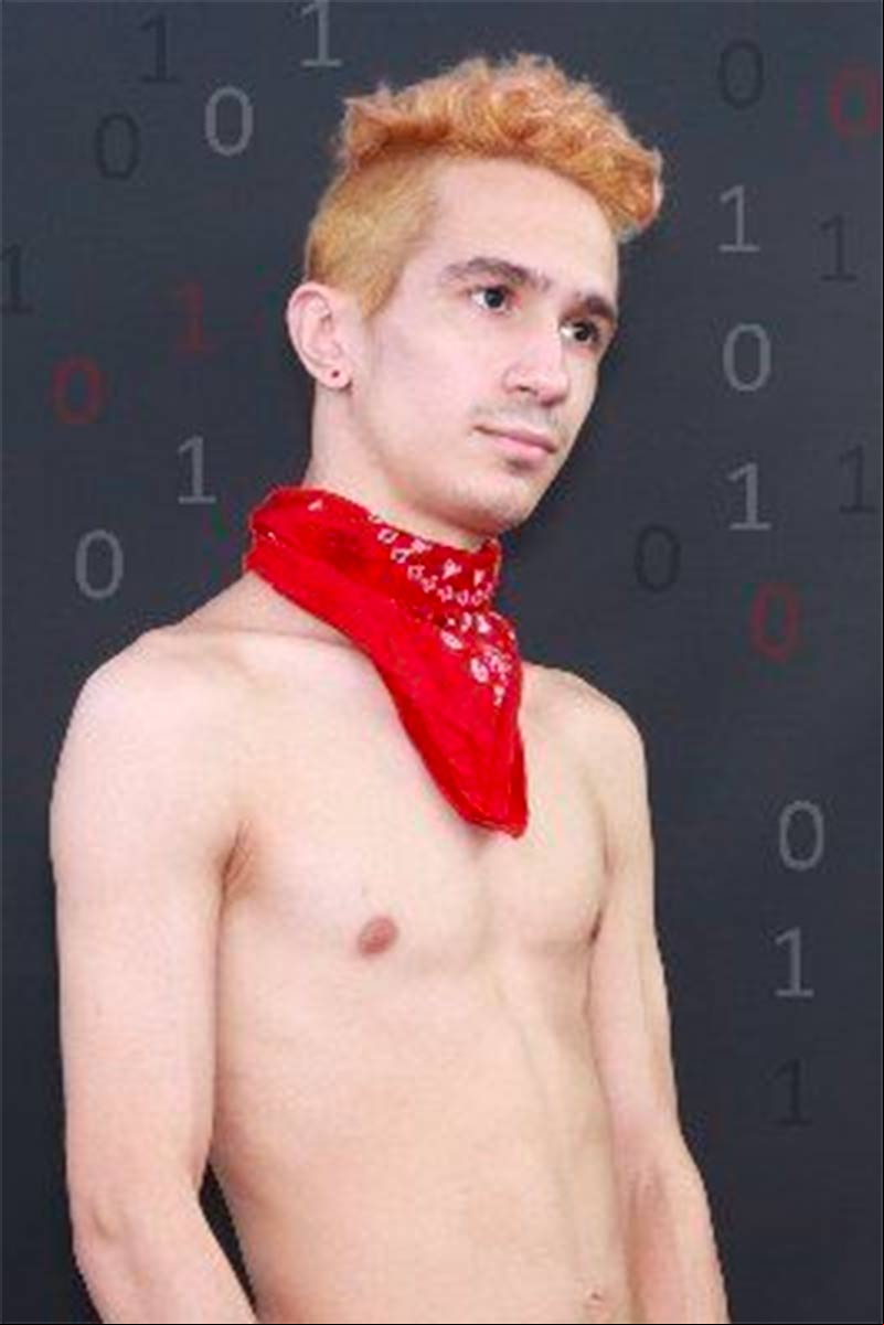Ethan Havoc Porn Star Picture