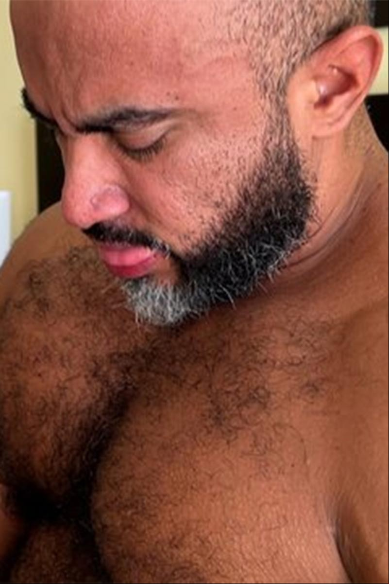 Tony Bear