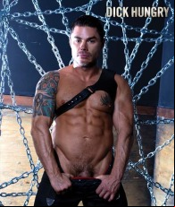 Jason Vault Porn Star Picture