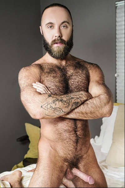 Teddy Bear Porn Star Picture